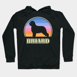 Briard Vintage Sunset Dog Hoodie